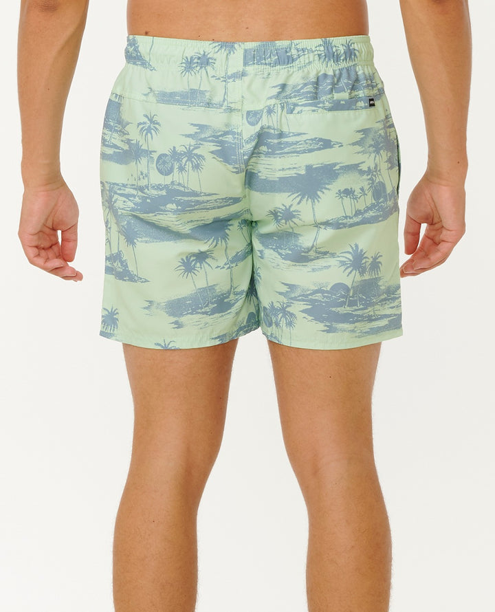 Dreamers 16" Volley Boardshorts