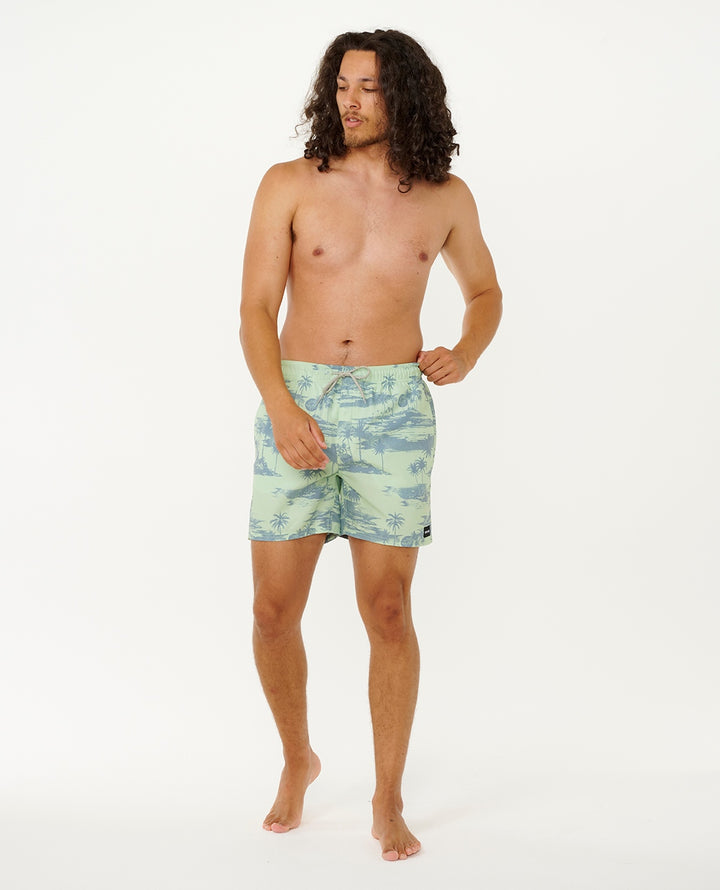 Dreamers 16" Volley Boardshorts