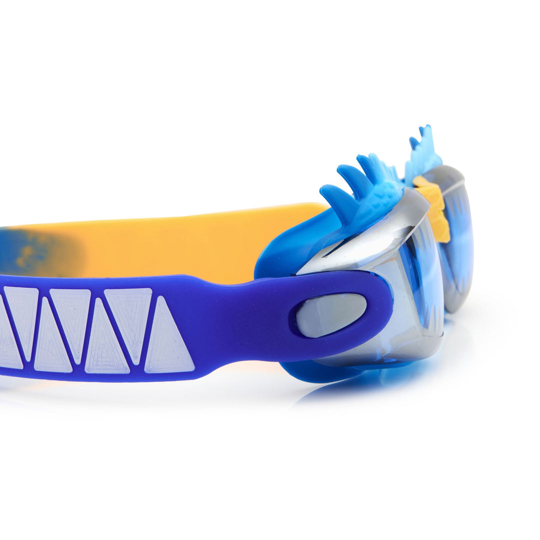 Sea Dragon Draco Swim Goggles