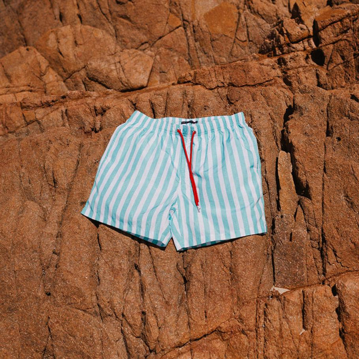 Mint Flare Swim Shorts