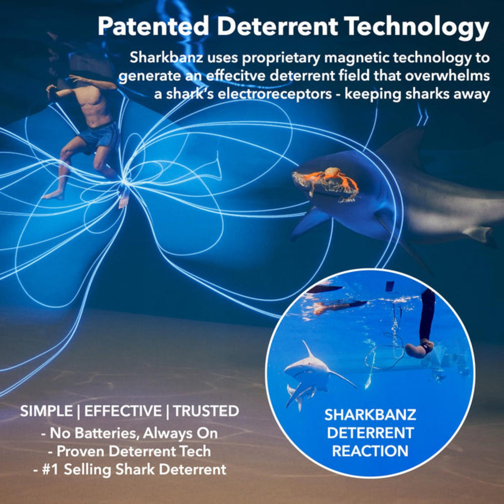 Shark Inert Shark Deterrents Australia | Sharkbanz Shark Bands and Shark Eyes